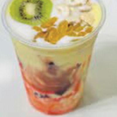 Fruit Yogurt Blender
