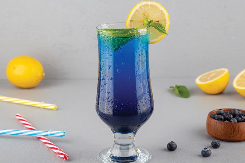 Blueberry Mojito