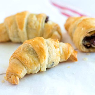 Molto Chocolate