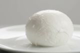 Mozzarella