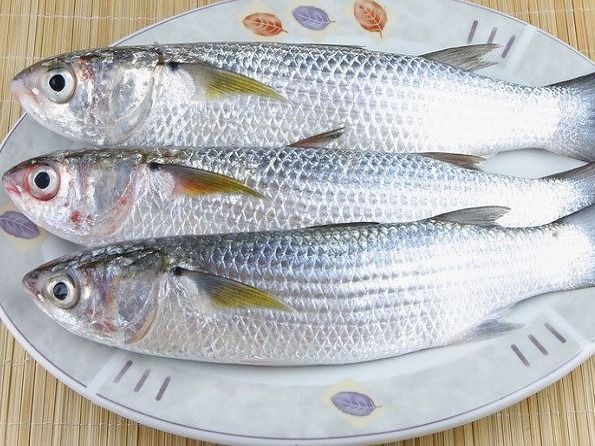 Mix Mullet Meal