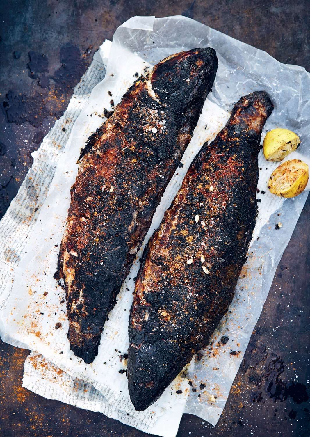 Grey Mullet Fish Meal