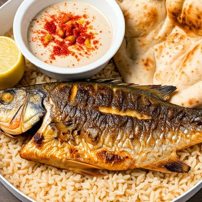 Grey Mullet Fishmeal