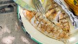 Mullet Fish Meal