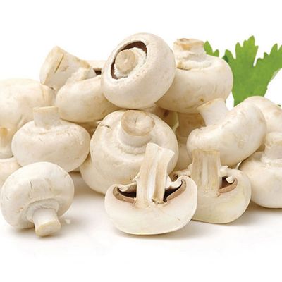 Mushroom