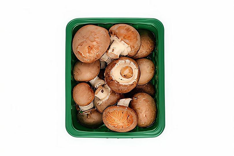 Mushroom
