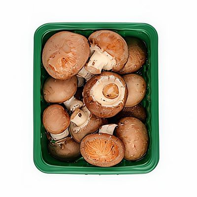 Mushroom