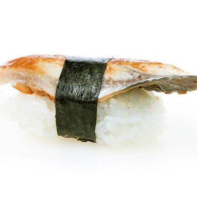 Nigiri Eel
