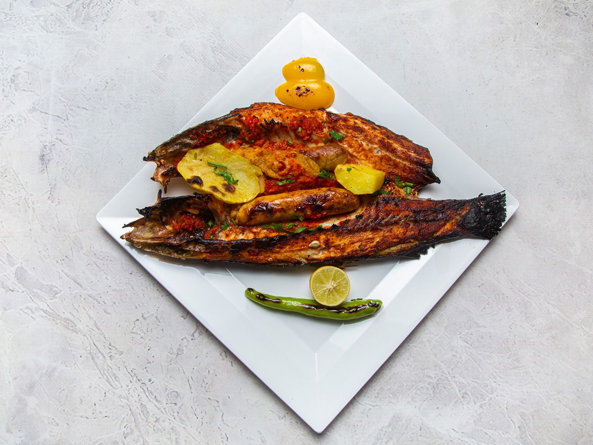 Sea Bass Fish