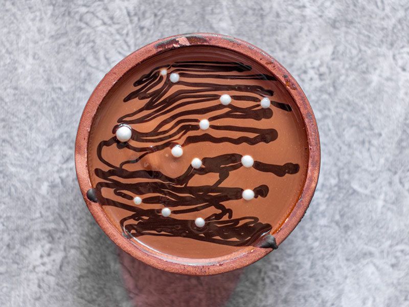 chocolate mini casserole