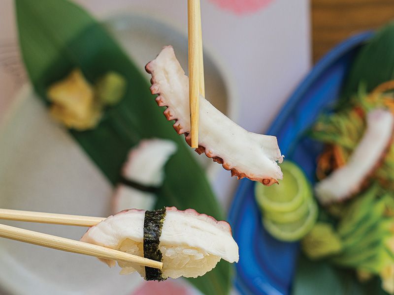 Octopus Sashimi