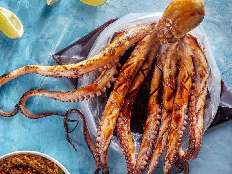 Octopus