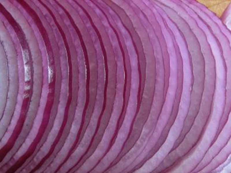 Onion Box