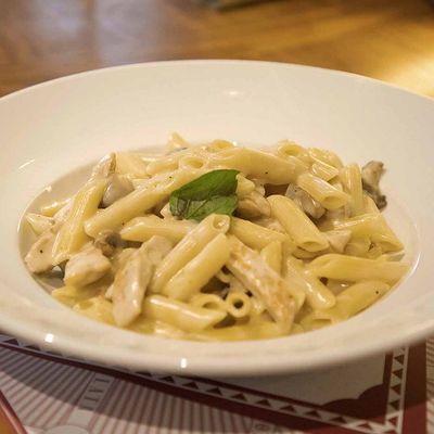 Penne Chicken Alfredo Pasta