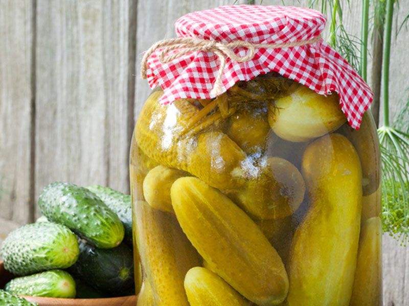 Pickled Cucumbers