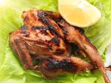 Pigeon Plate 1 Piece