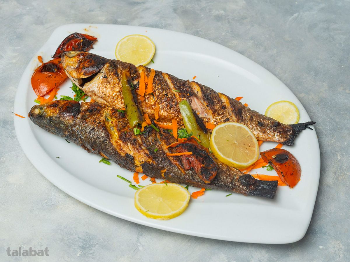 Grey Mullet