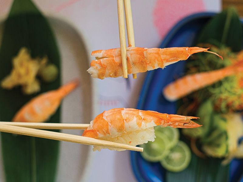 Prawn Sashimi