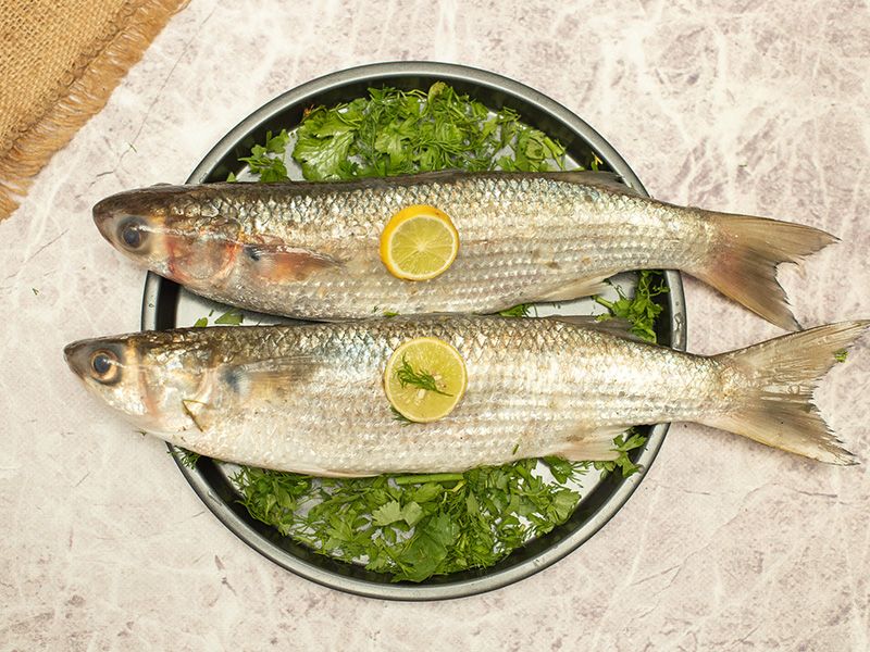 Raw Grey Mullet Fish