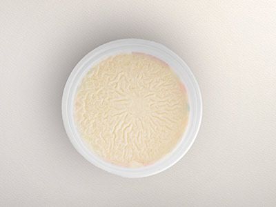 Plain Rice Pudding