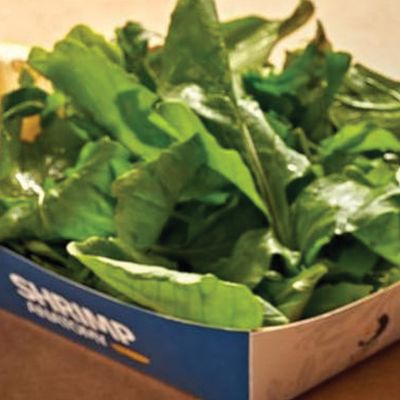 Roca Salad