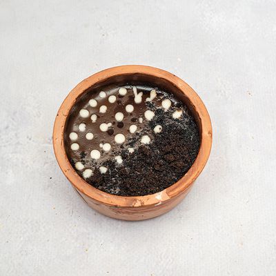 Nutella Tagine