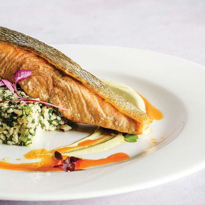 Salmon