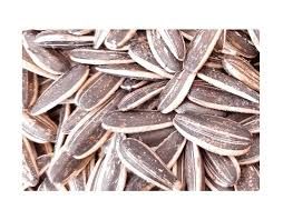 Salted Syrian Pulp
