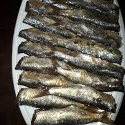 فسخاني السد العالي photo 5