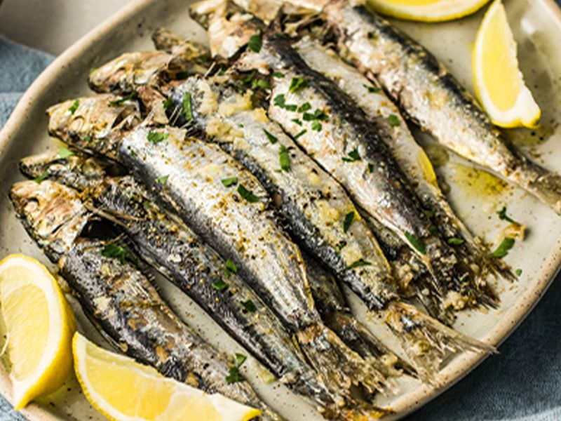Sardine