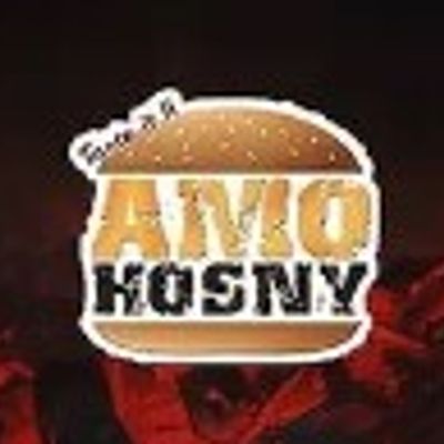 Amo Hosny photo 12