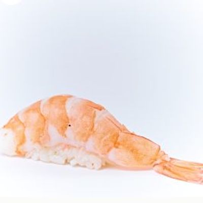 Shrimp nigiri