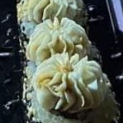 Vegetarian Maki Rolls