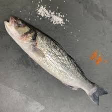 Sea Bass