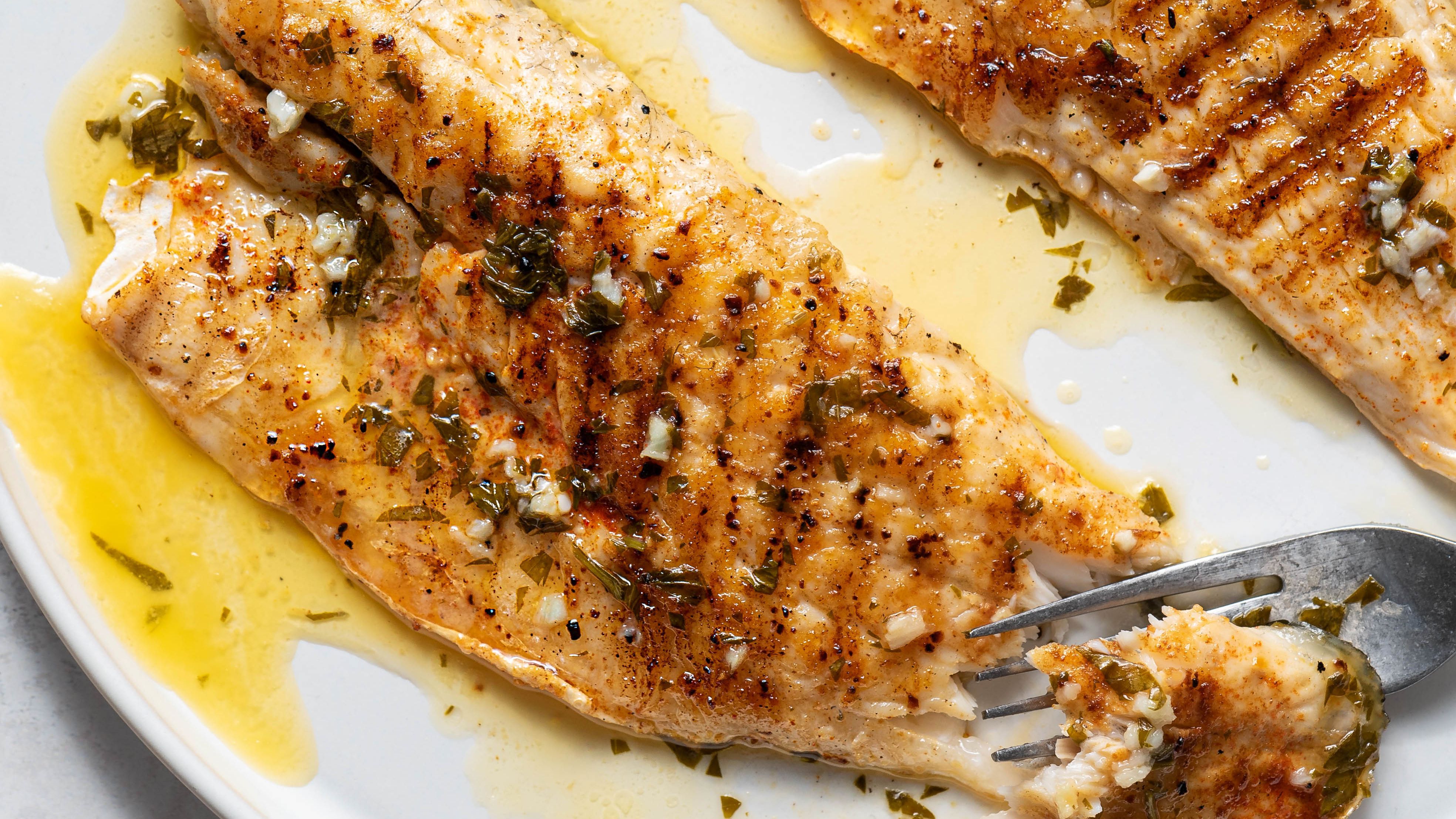 Sea Bass Fish