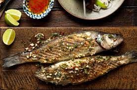 Sea Bass Fish