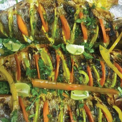 Sea Bass Fish