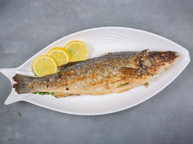 Sea Bass Fish