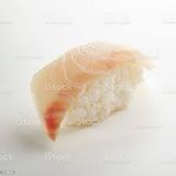Sea Bass Fish Nigiri