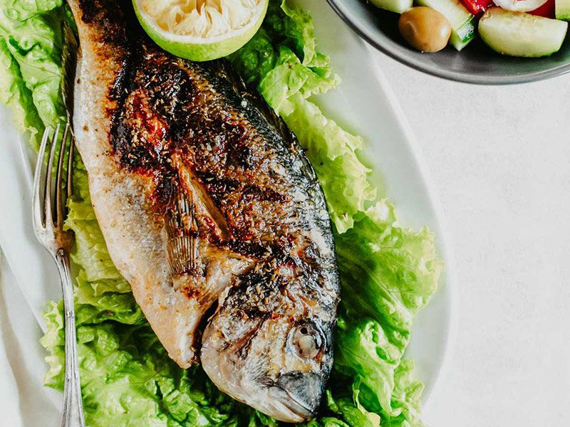 Sea Bream Fish