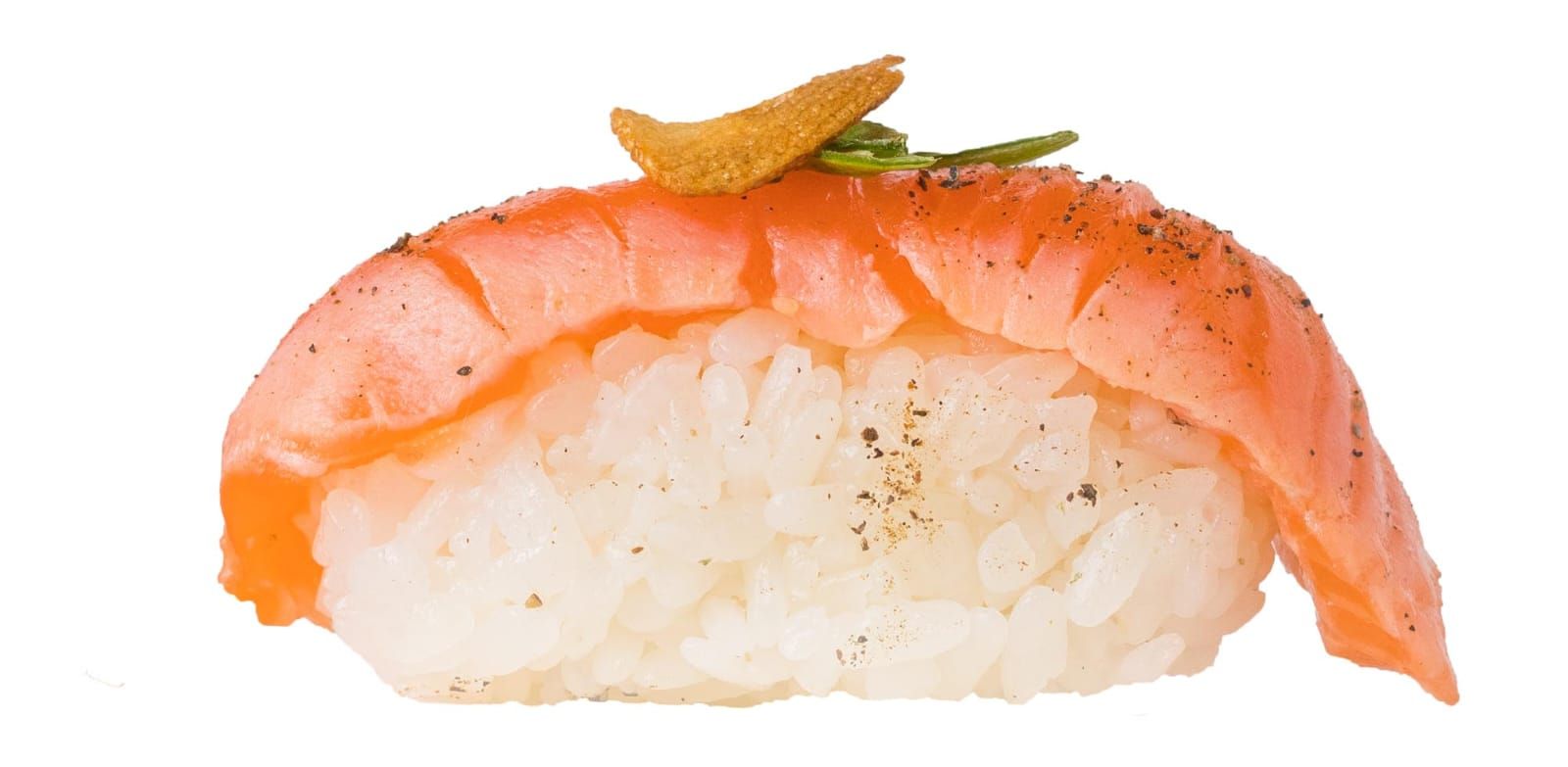 Seared Salmon Nigiri