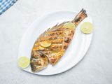 Gilthead Bream