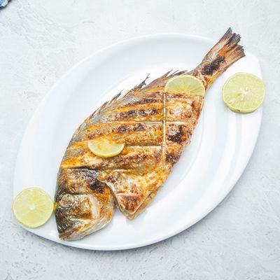 Gilthead Bream