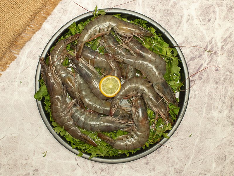 Shrimp