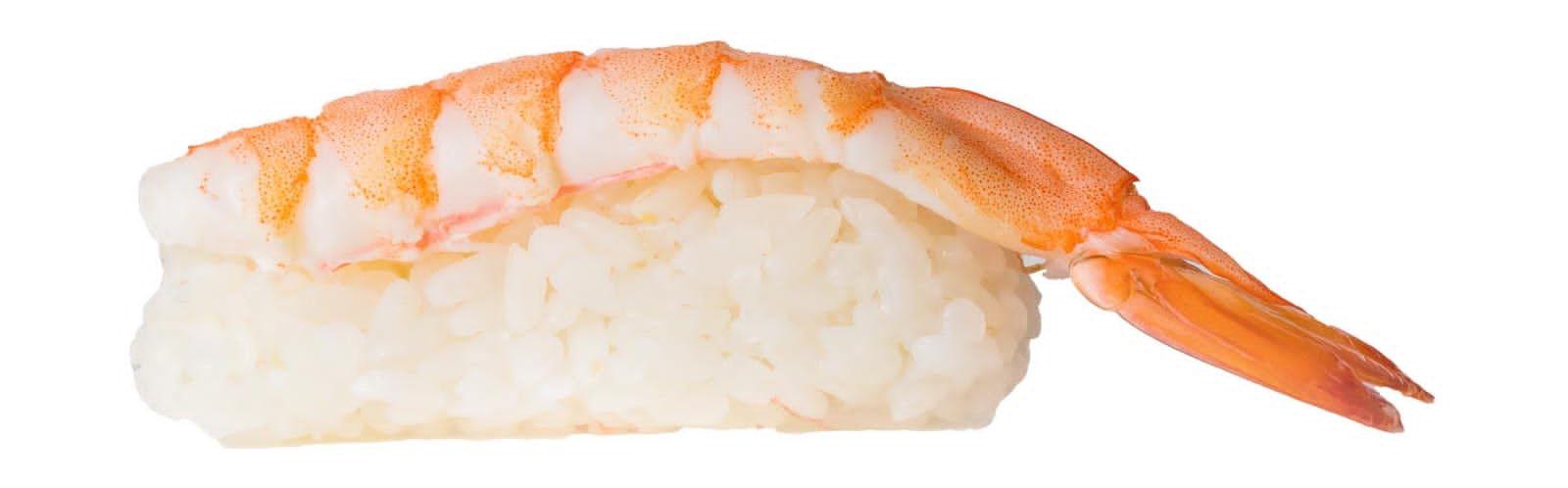 Shrimp Nigiri