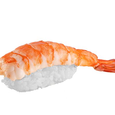 Shrimp Nigiri