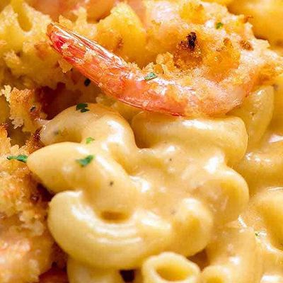 Shrimp Cheddar Cheese
