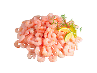 Shrimp - Small