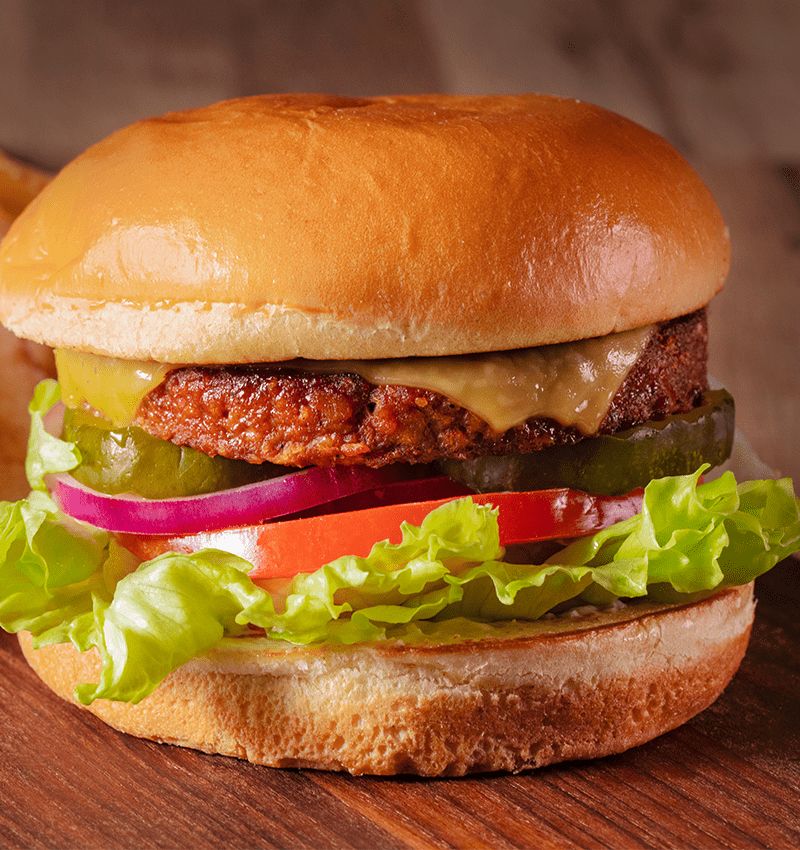 Classic Burger Sandwich