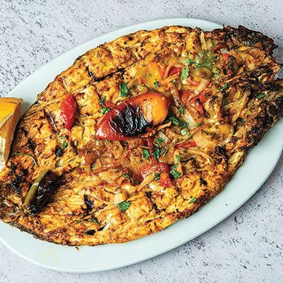 Sanjari Mackerel